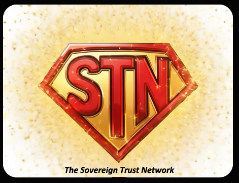 stn logo 2